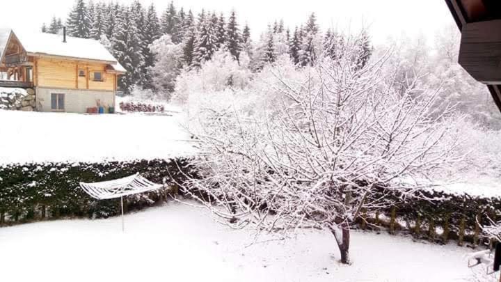 Chalet Trois Etoiles Xonrupt-Longemer Exterior photo